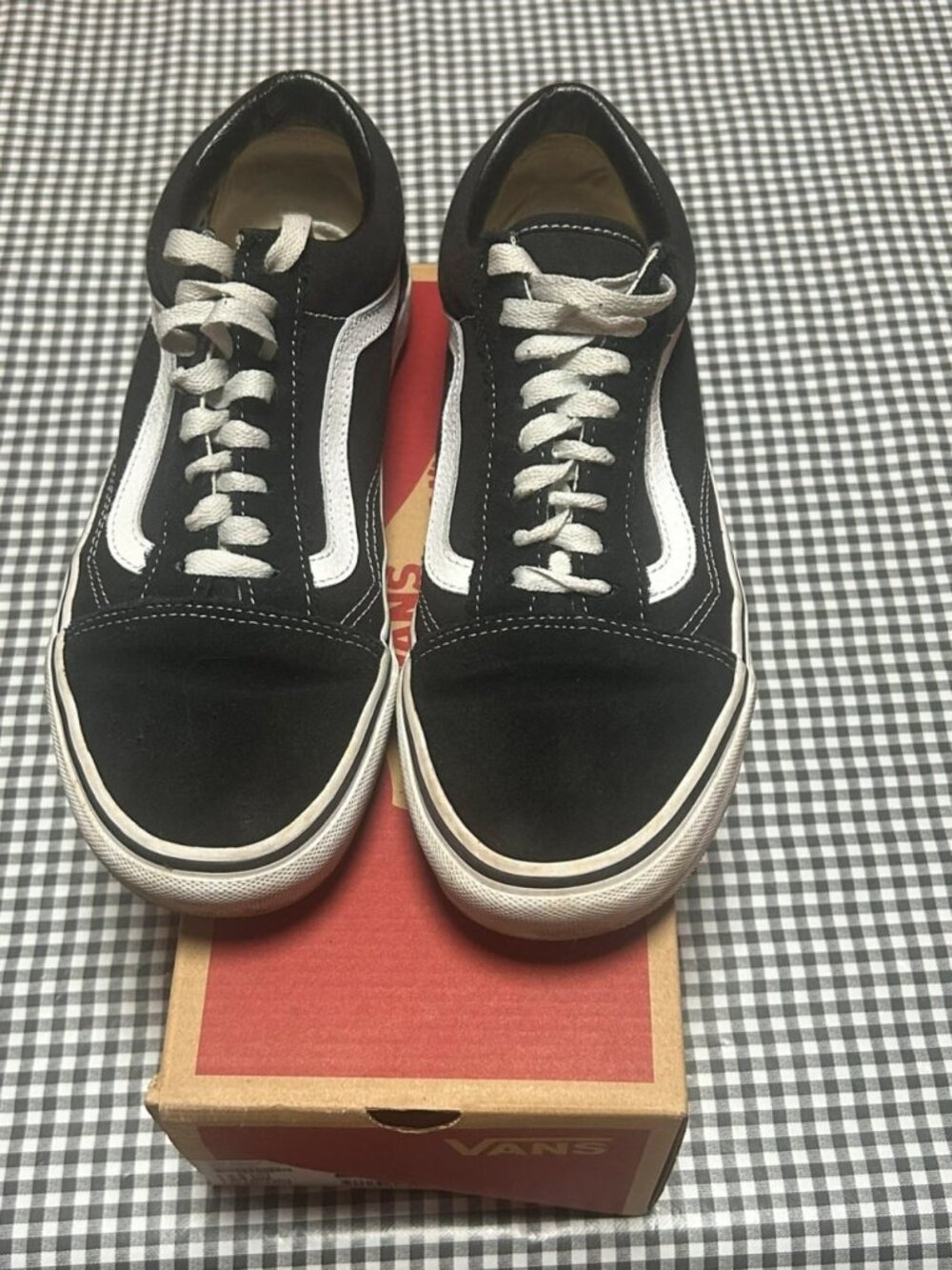 Black Low Top Classic Skate Sneakers